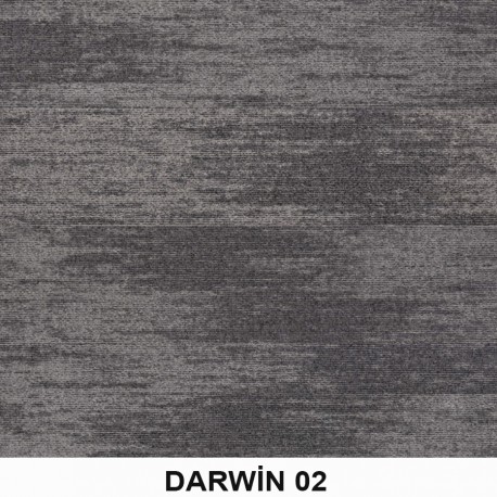 Darwin Karo Halı