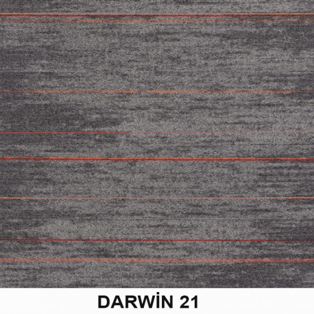 Darwin Karo Halı