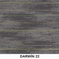 Darwin Karo Halı