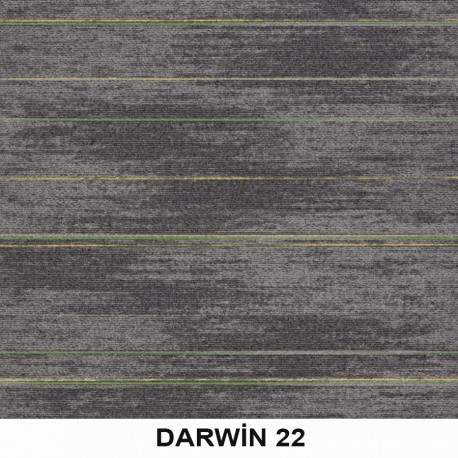 Darwin Karo Halı