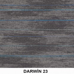 Darwin Karo Halı