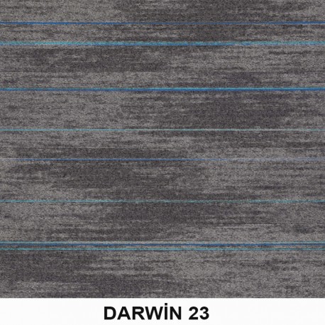 Darwin Karo Halı