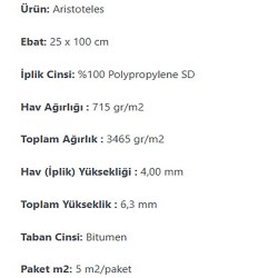 Aristoteles Karo Halı