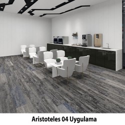 Aristoteles Karo Halı