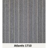 Atlantis Karo Halı